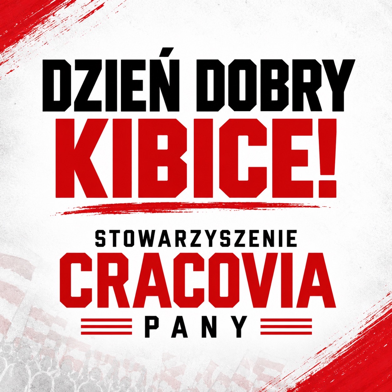 Stowarzyszenie Cracovia Pany